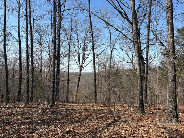 2179 Cantrell Road, Mansfield, MO 65704