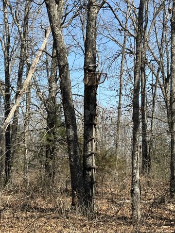 2179 Cantrell Road, Mansfield, MO 65704