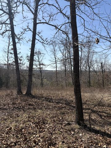 2179 Cantrell Road, Mansfield, MO 65704