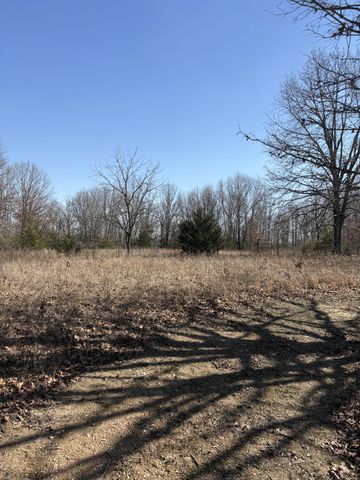 2179 Cantrell Road, Mansfield, MO 65704