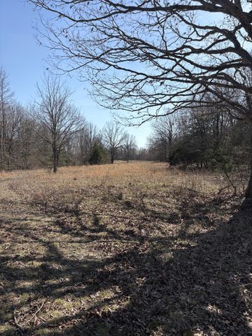 2179 Cantrell Road, Mansfield, MO 65704