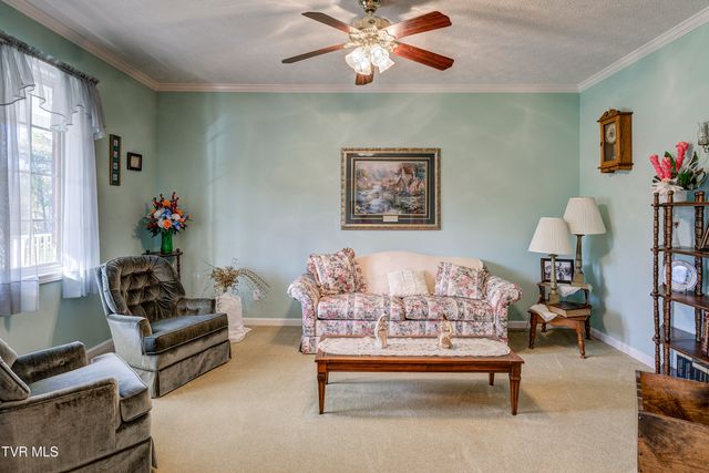 395 Old Mill Road, Blountville, TN 37617