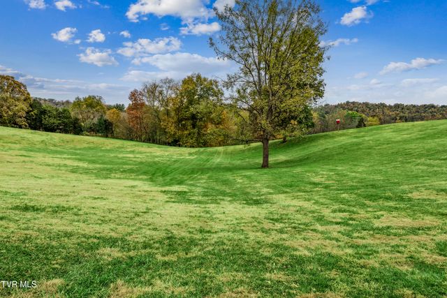 395 Old Mill Road, Blountville, TN 37617