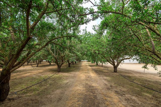 22342 Henry Rd, Escalon, CA 95320