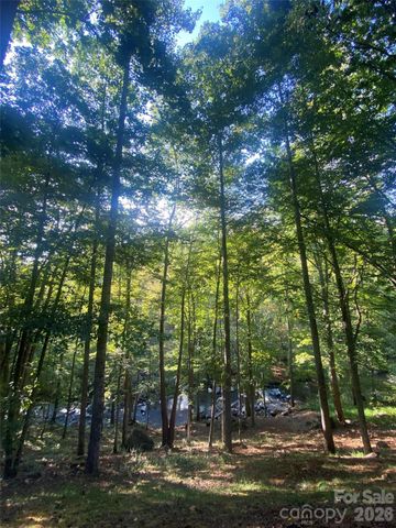 39 Rogers Creek Drive, Bakersville, NC 28705