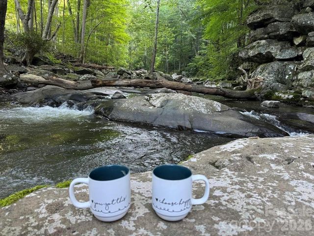 39 Rogers Creek Drive, Bakersville, NC 28705