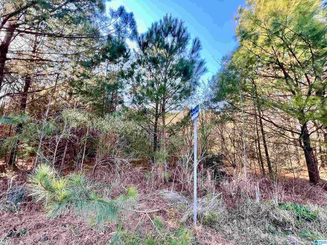 832 11TH AVENUE, Pleasant Grove, AL 35127