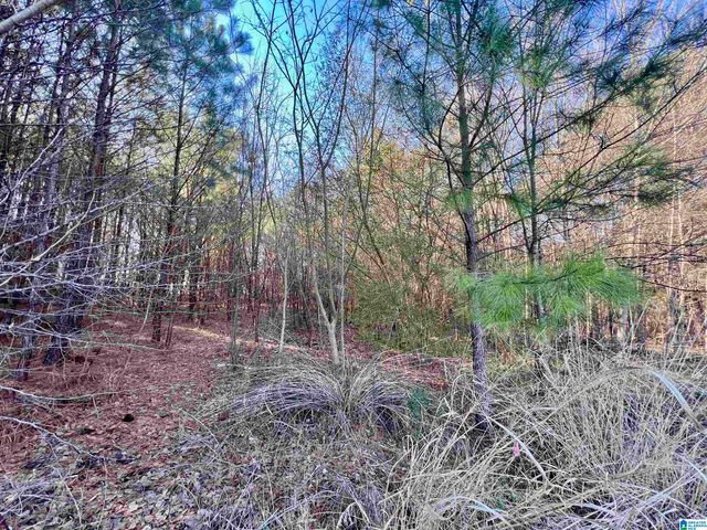 832 11TH AVENUE, Pleasant Grove, AL 35127