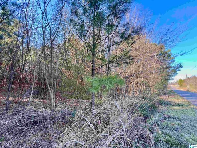 832 11TH AVENUE, Pleasant Grove, AL 35127