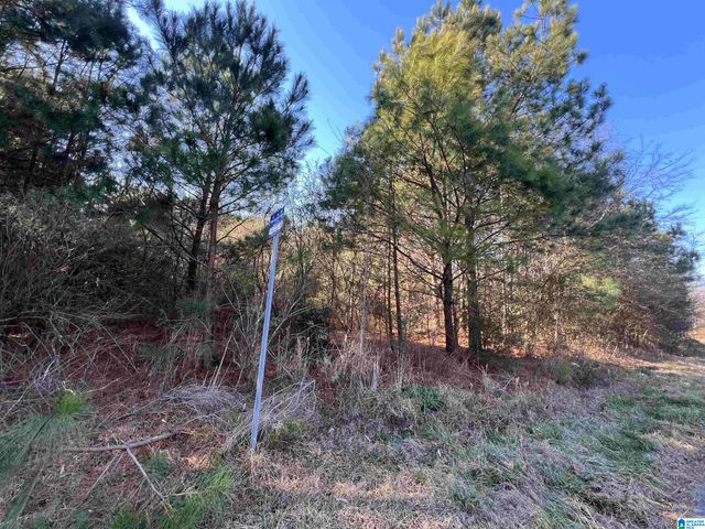 832 11TH AVENUE, Pleasant Grove, AL 35127