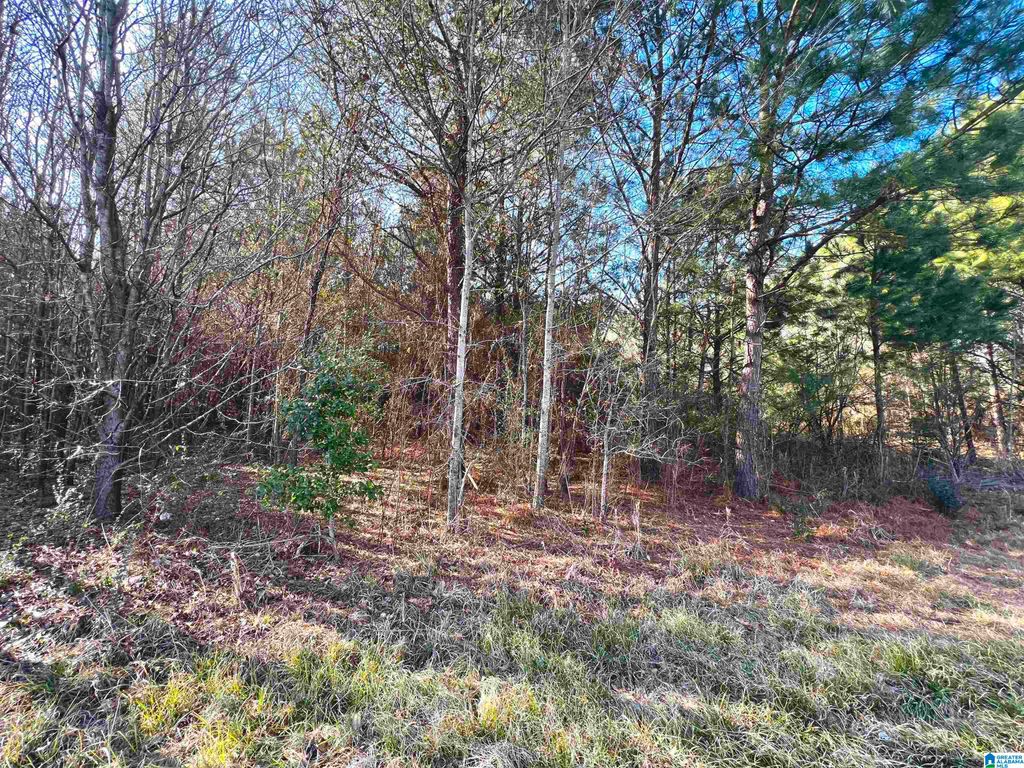 832 11TH AVENUE, Pleasant Grove, AL 35127