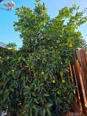 27250 Murrieta Road 390, Menifee, CA 92586