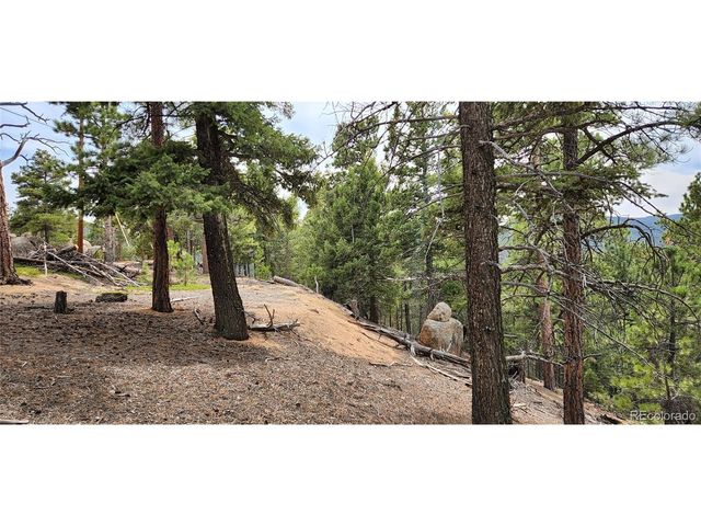13985 Boulder Ln, Larkspur, CO 80118