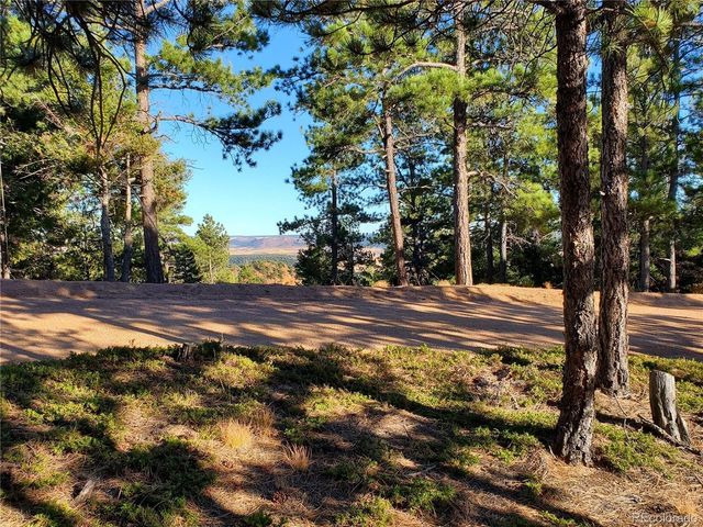 13985 Boulder Ln, Larkspur, CO 80118