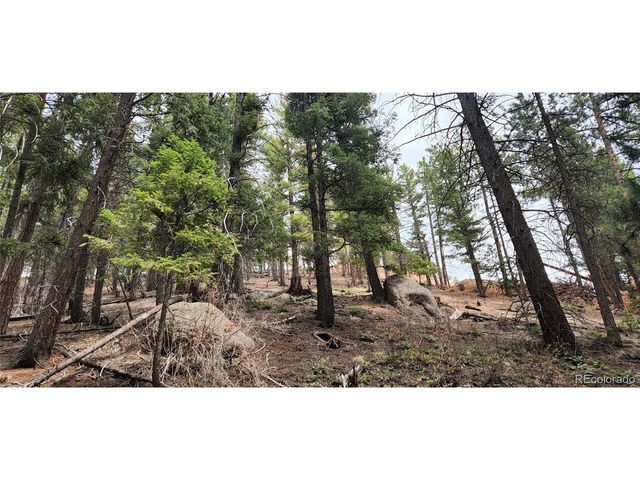 13985 Boulder Ln, Larkspur, CO 80118
