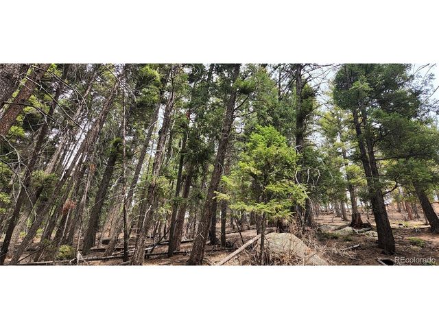 13985 Boulder Ln, Larkspur, CO 80118