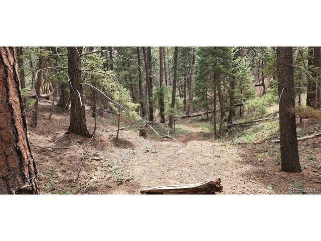 13985 Boulder Ln, Larkspur, CO 80118