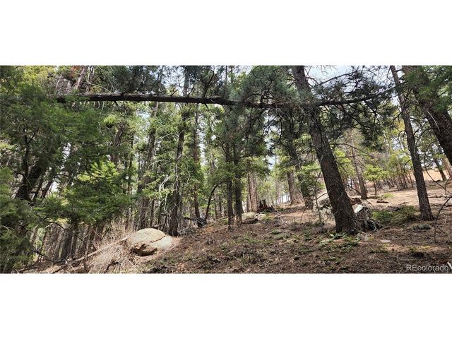 13985 Boulder Ln, Larkspur, CO 80118