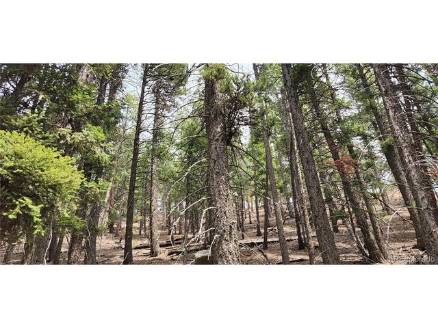 13985 Boulder Ln, Larkspur, CO 80118