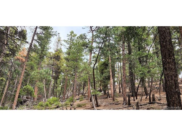 13985 Boulder Ln, Larkspur, CO 80118