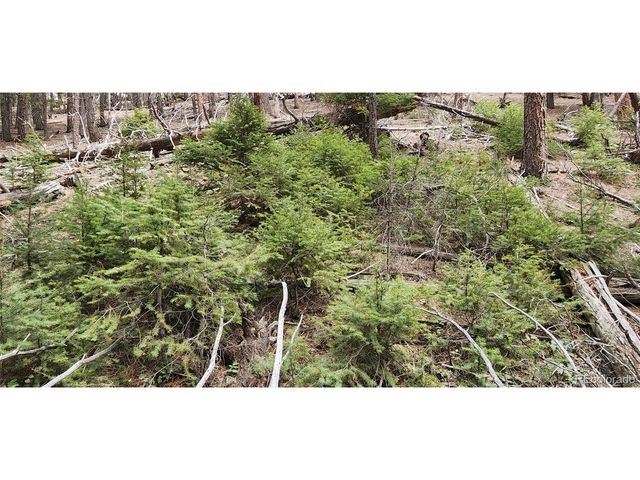 13985 Boulder Ln, Larkspur, CO 80118
