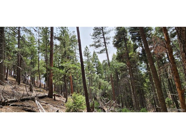 13985 Boulder Ln, Larkspur, CO 80118