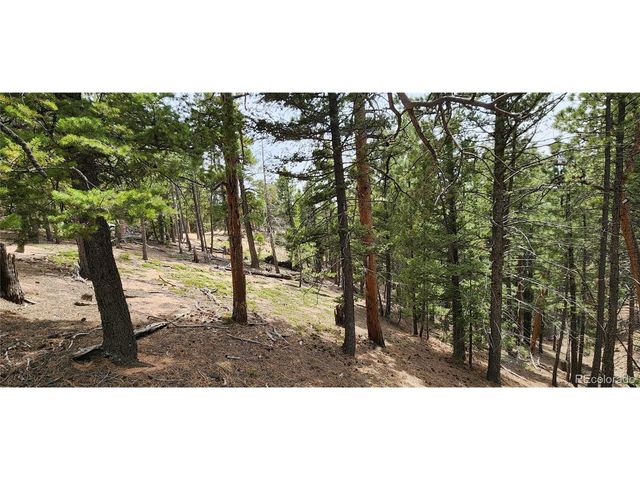 13985 Boulder Ln, Larkspur, CO 80118