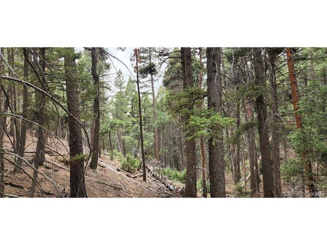 13985 Boulder Ln, Larkspur, CO 80118