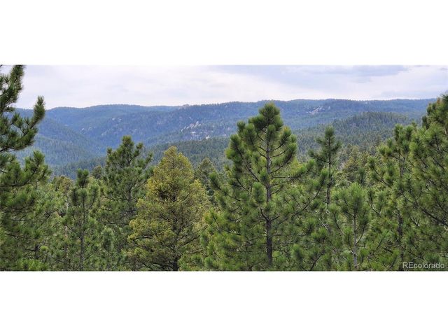 13985 Boulder Ln, Larkspur, CO 80118