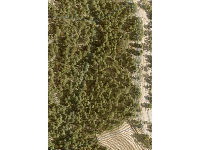 13985 Boulder Ln, Larkspur, CO 80118