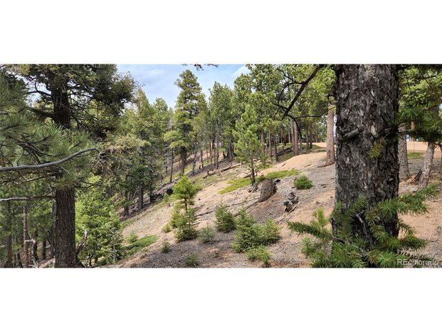 13985 Boulder Ln, Larkspur, CO 80118