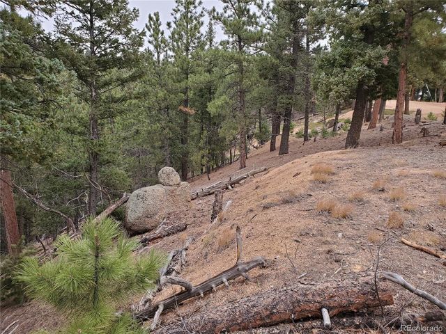 13985 Boulder Ln, Larkspur, CO 80118