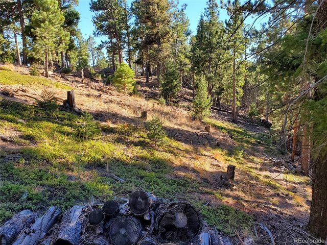 13985 Boulder Ln, Larkspur, CO 80118