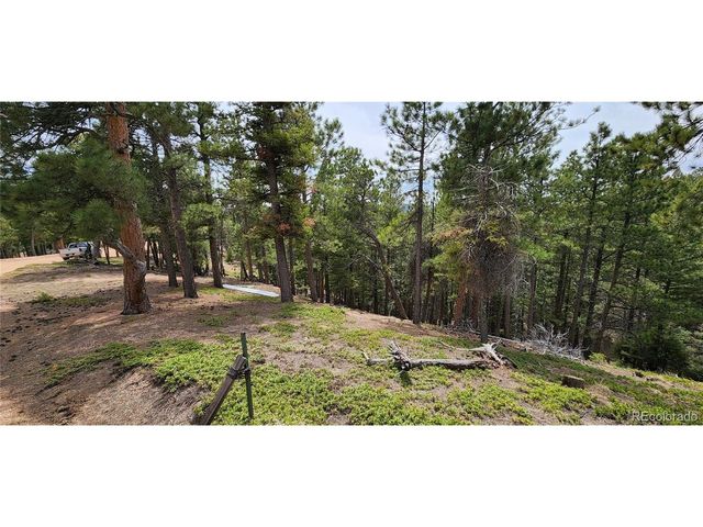 13985 Boulder Ln, Larkspur, CO 80118