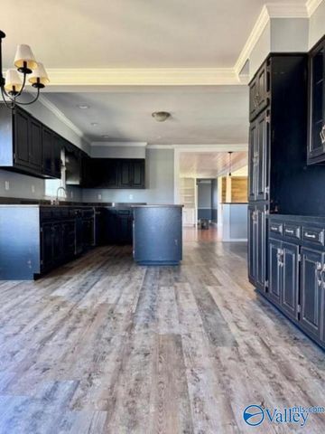 11685 Burgreen Road, Madison, AL 35756