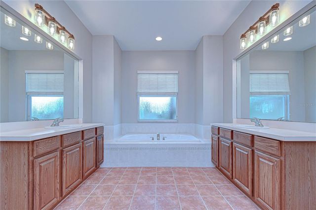 6020 AUDUBON MANOR BOULEVARD, Lithia, FL 33547