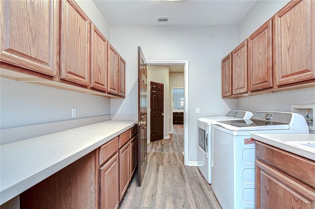 6020 AUDUBON MANOR BOULEVARD, Lithia, FL 33547