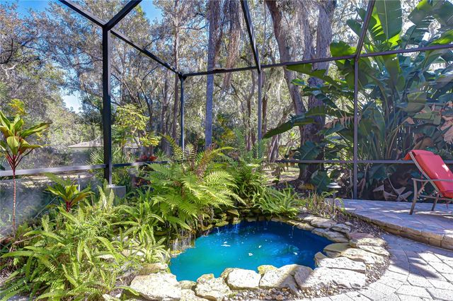 6020 AUDUBON MANOR BOULEVARD, Lithia, FL 33547