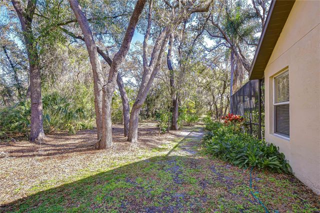 6020 AUDUBON MANOR BOULEVARD, Lithia, FL 33547