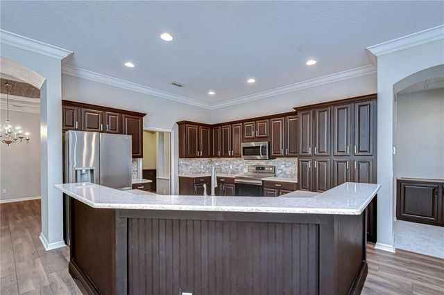 6020 AUDUBON MANOR BOULEVARD, Lithia, FL 33547