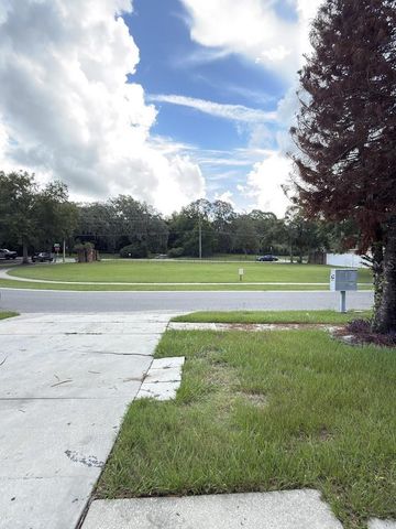6313 LIVEWOOD OAKS DRIVE, Orlando, FL 32818