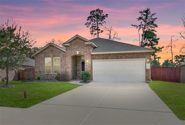 14030 Wolftrap Lane, Conroe, TX 77384