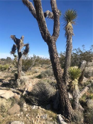 31875 Sapphire Road, Lucerne Valley, CA 92356