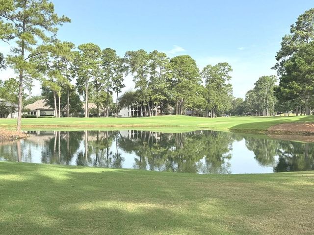 13411 Sea Island Drive, Montgomery, TX 77356