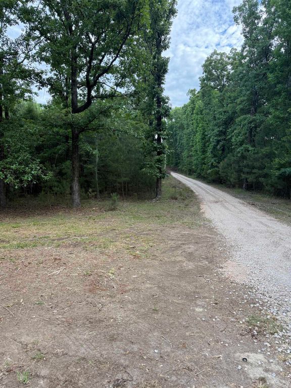 481 Seminole Road, Bismarck, AR 71929