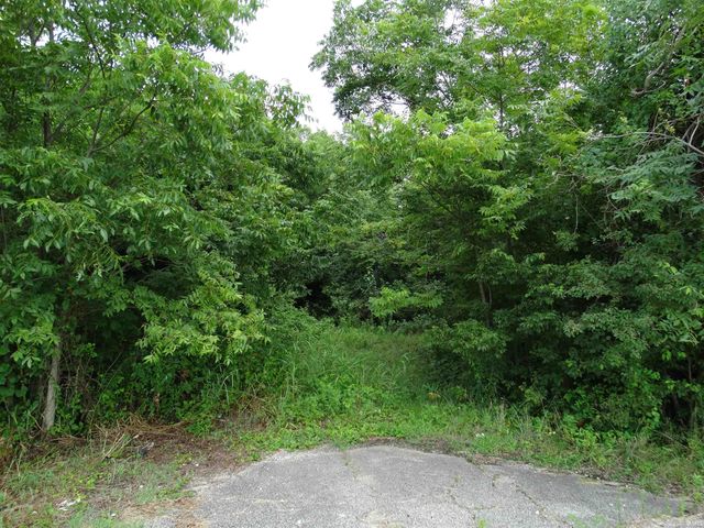 10800 Hwy 69 & Along Ohio River Road, Mount Vernon, IN 47620