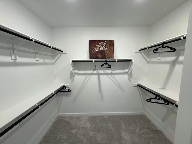 229 Invermore Drive, Little Elm, TX 75068