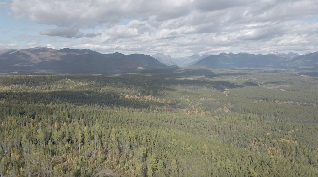 105 Highland Meadows Road, Whitefish, MT 59937 photo 3