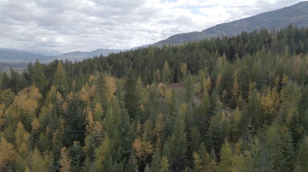 105 Highland Meadows Road, Whitefish, MT 59937 photo 4