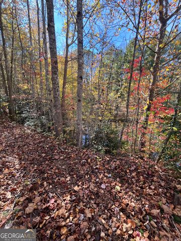 68 Nelson Lane, Hiawassee, GA 30546